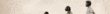 LeaderBoard LeaderBoard