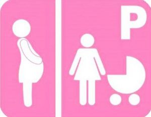 Permesso Rosa