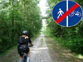 Pista ciclabile